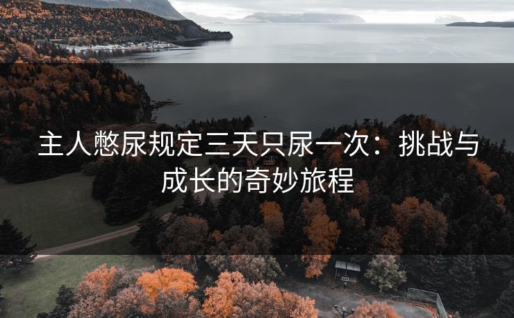 主人憋尿规定三天只尿一次：挑战与成长的奇妙旅程