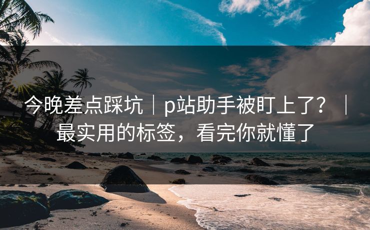 今晚差点踩坑|p站助手被盯上了?|最实用的标签,看完你就懂了 今晚差点踩坑|p站助手被盯上了?|最实用的标签,看完你就懂了