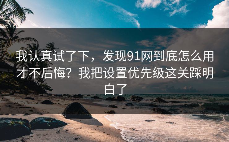 我认真试了下，发现91网到底怎么用才不后悔？我把设置优先级这关踩明白了